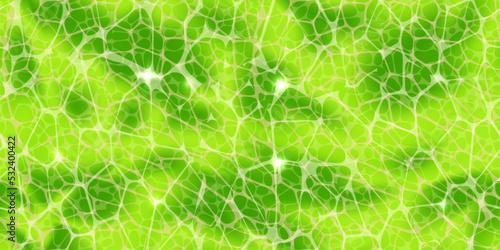 Abstract green seamless pattern or plant cells texture under a microscope. Leaf tissue layer vector macro illustration. Microbiology background. Scientific structure.