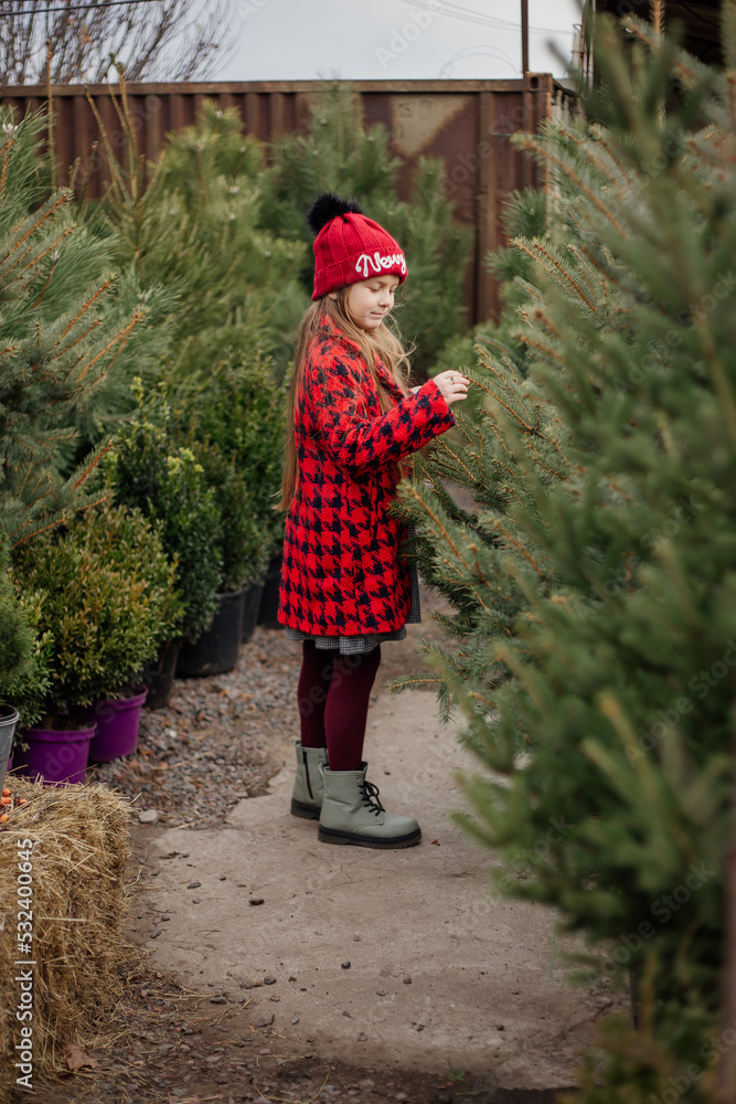 A girl in a red coat and hat with long blond hair chooses a Christmas tree at the Christmas market A girl in a red coat and hat with long blond hair chooses a Christmas tree at the Christmas market