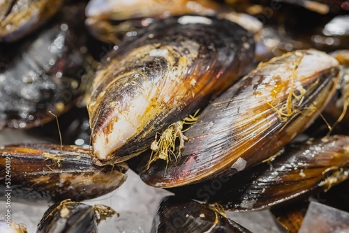 Close-up of Galician mussels on ice at the market in Vigo, Galicia (Spain), Spanish gastronomy concept.