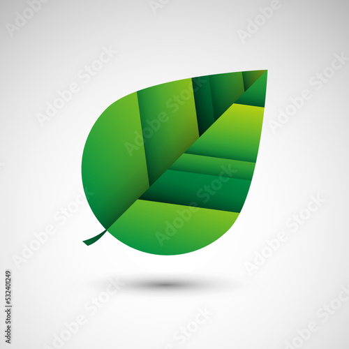 Zielony liść. Logo wektor. photo