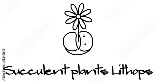 開花している多肉植物のリトープス キャラクター イラスト ベクター