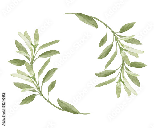 セージの葉っぱのフレーム　水彩画