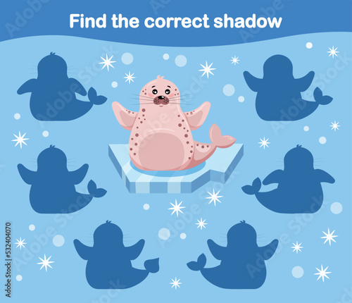 find shadow of a fur seal, seal. Children's game learning arctic animals series