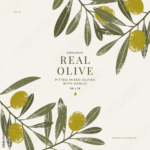 Olive vintage design template. Olive leaves and branches packaging design.