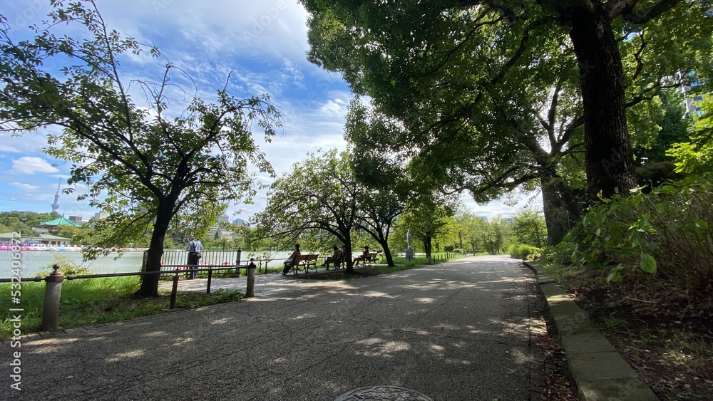  Beautiful scenery of people resting at the bench beside the pond of Ueno “Shinobazu” pond, year around 2022
