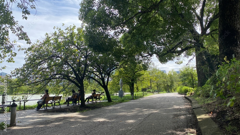 Obraz premium Empty sidewalk at Shinobazu pond of Ueno, the urban resting spot in the downtown Tokyo year around 2022