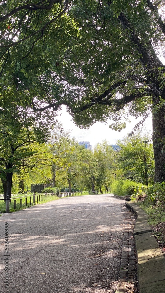 Obraz premium Empty sidewalk at Shinobazu pond of Ueno, the urban resting spot in the downtown Tokyo year around 2022