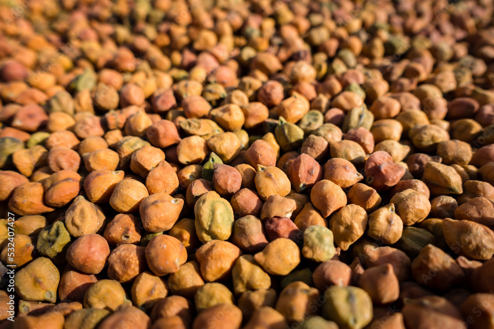 Black Chana (cicer arietinum) . Close up shot of Dried Organic Black chana Or Black gram Legume. Uttarakhand India. Black Chana (cicer arietinum) . Close up shot of Dried Organic Black chana Or Black gram Legume. Uttarakhand India.