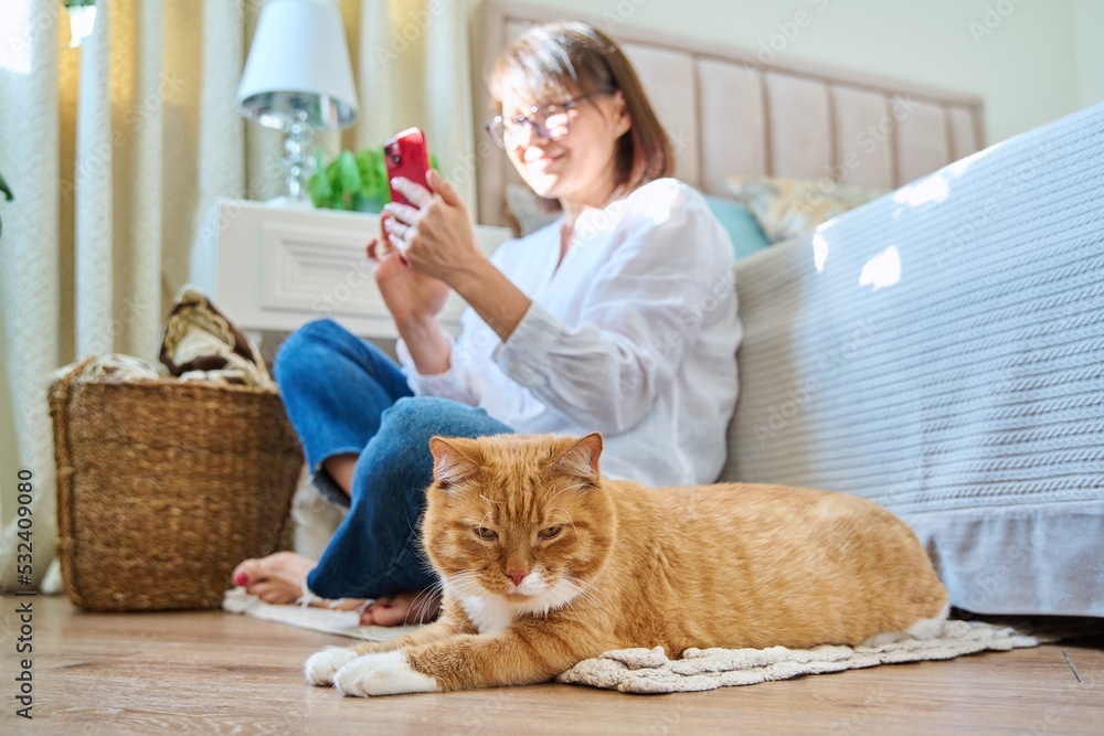 Female sitting on floor using smartphone, pet cat lying near owner Female sitting on floor using smartphone, pet cat lying near owner