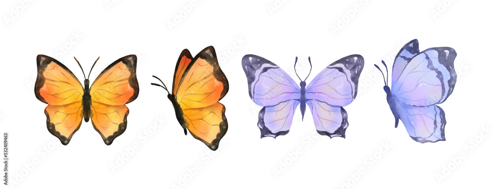 Colorful butterflies watercolor isolated on white background. Purple, blue, gray or silver and cream pink butterfly. Spring animal vector illustration - obrazy, fototapety, plakaty 
