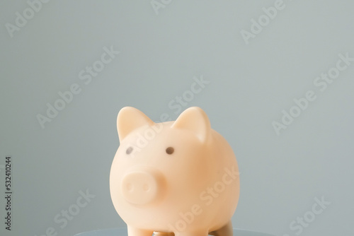Pink piggy bank saving money for future plan and retirement fund, business or finance and investment money
