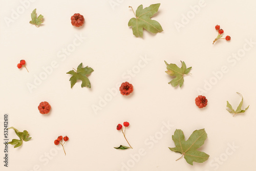 Wallpaper Mural Aesthetic autumn pattern. Autumn composition. Autumn leaves on pastel orange light background. Autumn, fall concept. Flat layout, top view. Torontodigital.ca