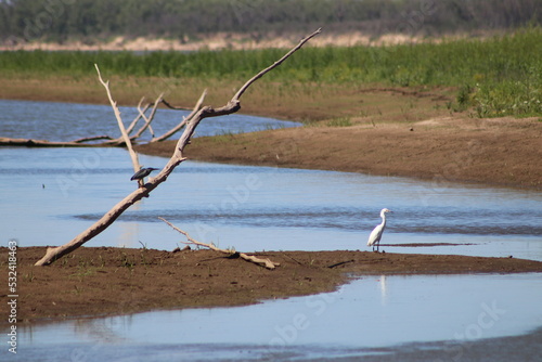 Garzas