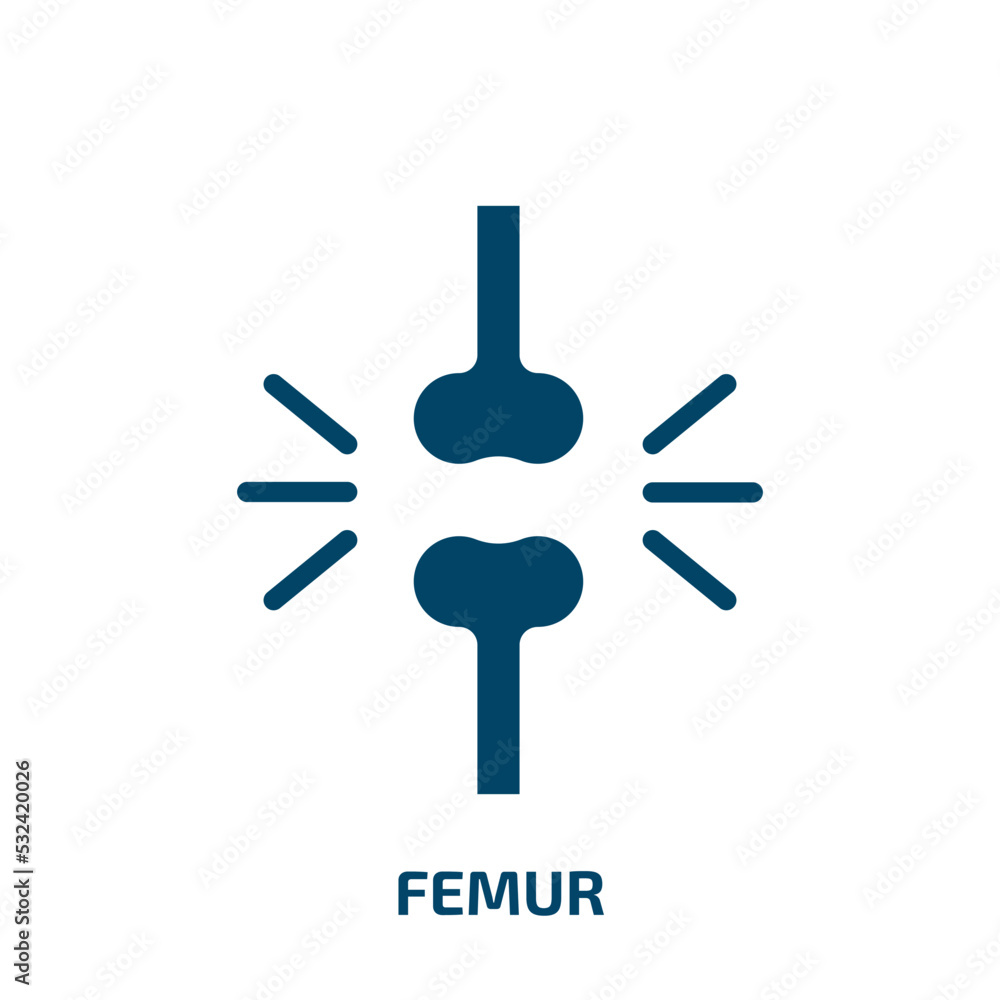 femur icon from medical collection. Filled femur, medical, joint glyph icons isolated on white background. Black vector femur sign, symbol for web design and mobile apps femur icon from medical collection. Filled femur, medical, joint glyph icons isolated on white background. Black vector femur sign, symbol for web design and mobile apps