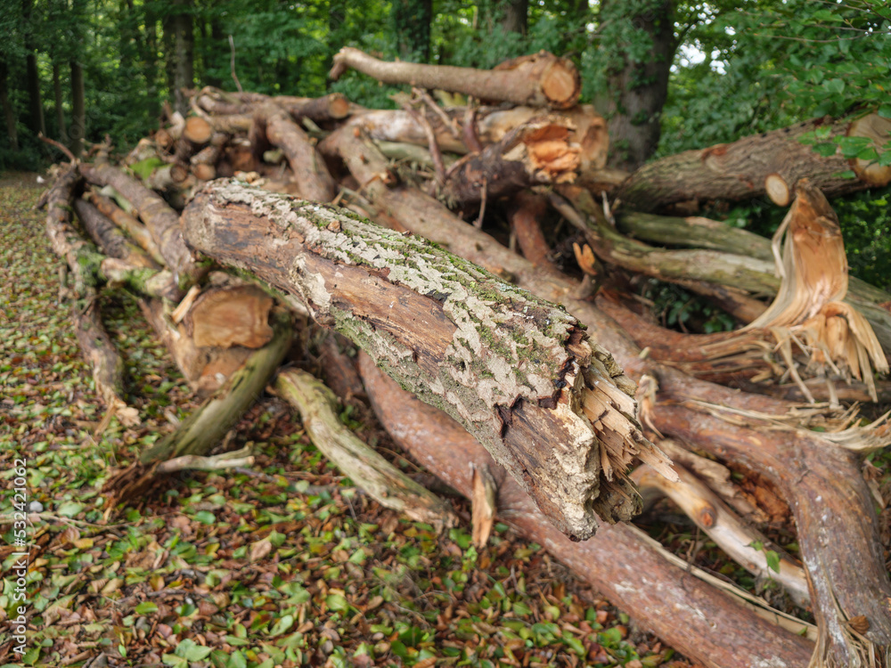 Wandern an der Berkel bei Vreden im Münsterland Wandern an der Berkel bei Vreden im Münsterland