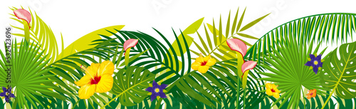 Jungle botanical bottom border. Green natural plants