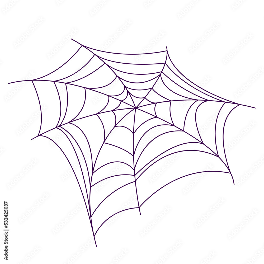 Fototapeta premium vector illustration of lacy spider web