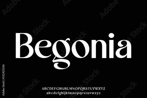 Elegant luxury decorative display font vector