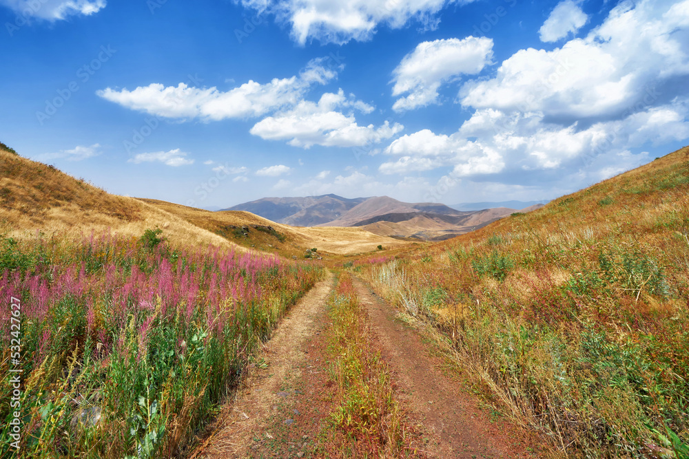 Road in armenian countryside at Vayots Dzor Province