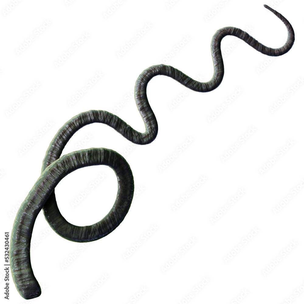 Obraz premium Tentacle CG Illustration with PNG Transparent Background