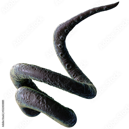 Tentacle CG Illustration with PNG Transparent Background
