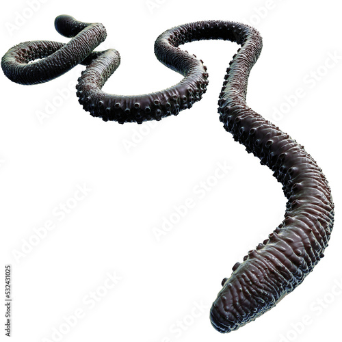 Tentacle CG Illustration with PNG Transparent Background