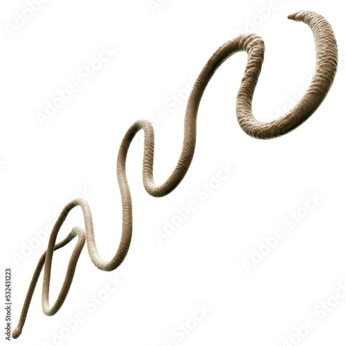 Tentacle CG Illustration with PNG Transparent Background