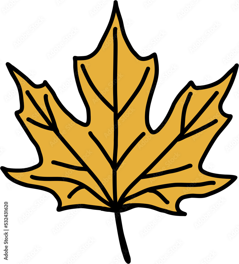 simplicity maple leaf freehand drawing flat design. simplicity maple leaf freehand drawing flat design.