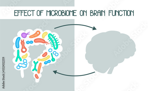 Human microbiome illustration with intestines and bacteria Vector picture. Gastroenterologist. Bifidobacteria, lactobacilli. Lactic acid bacteria.