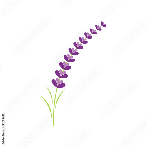 lavender logo