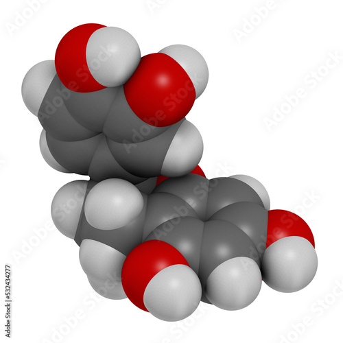 Catechin herbal antioxidant molecule, 3D rendering. photo