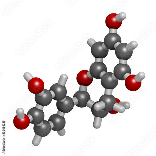 Catechin herbal antioxidant molecule, 3D rendering. photo