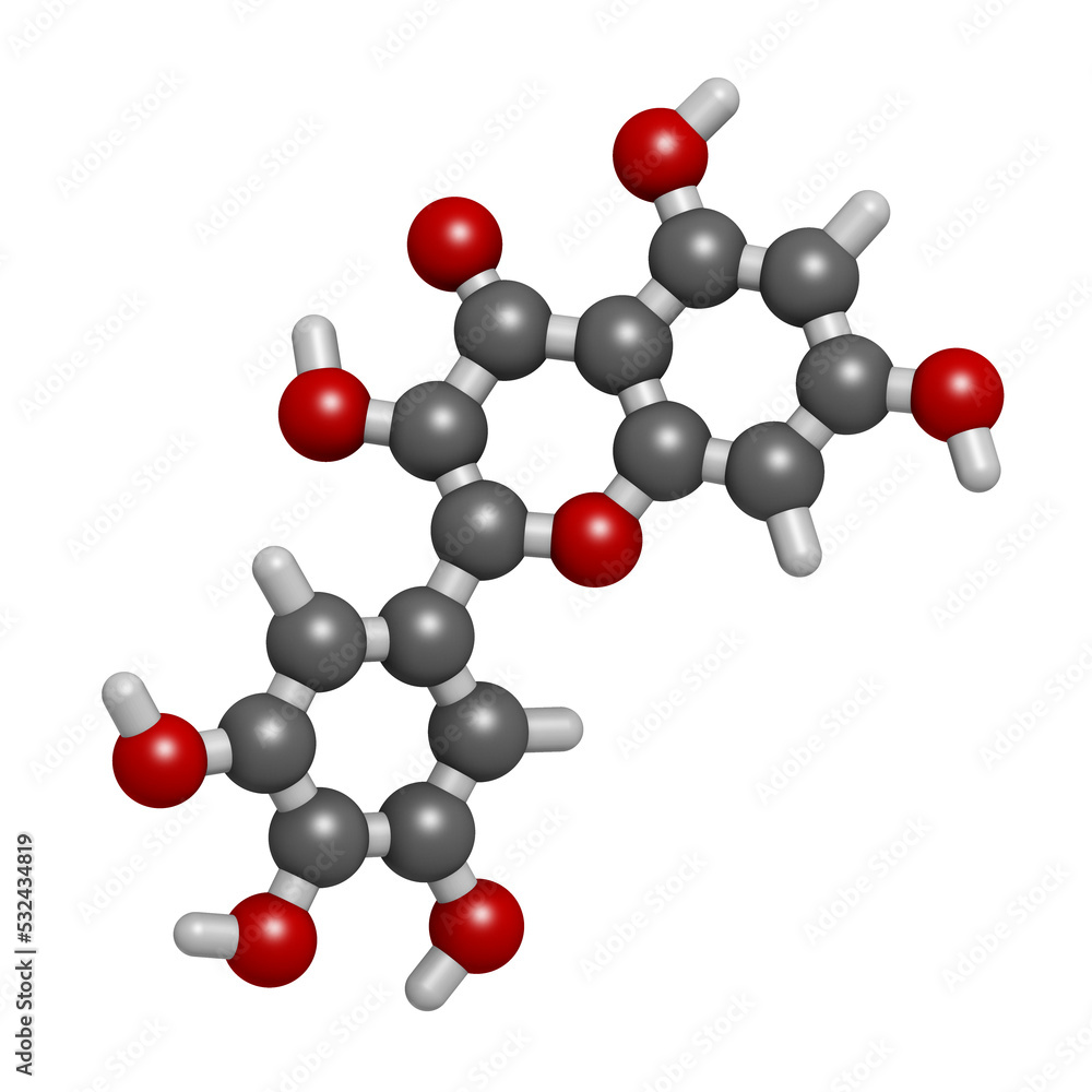 Myricetin flavonoid molecule, 3D rendering. Myricetin flavonoid molecule, 3D rendering.