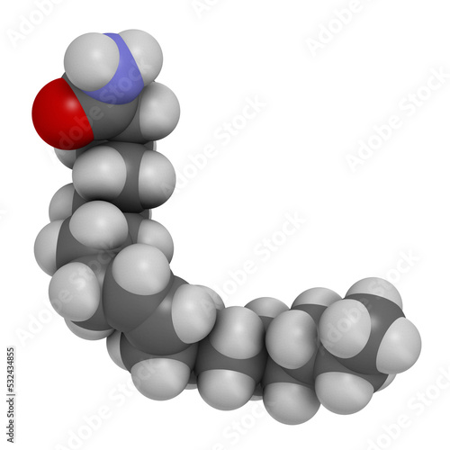 Oleamide molecule, 3D rendering. photo