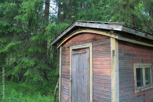 old wooden house in forest