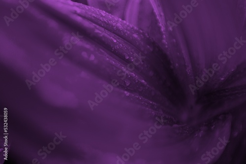 Beautiful abstract glowing neon purple toned background