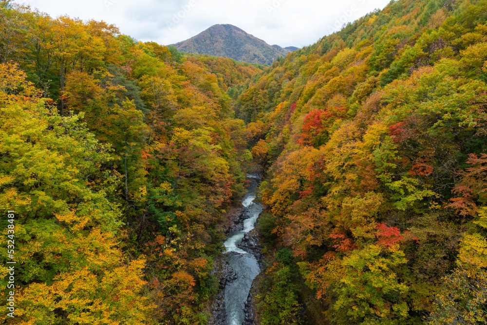 Autumn season landscape in Japan