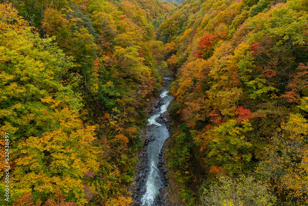 Autumn season landscape in Japan Autumn season landscape in Japan