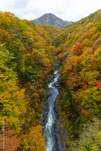Autumn season landscape in Japan