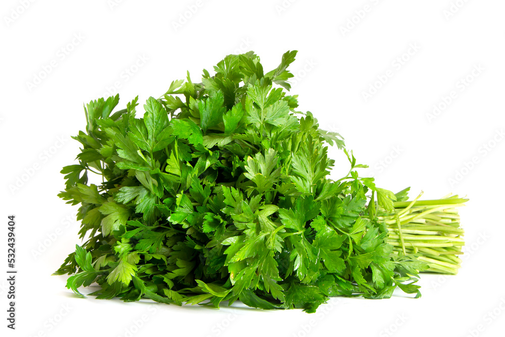 Parsley bunch isolated on a white background. Parsley herb leaves Parsley bunch isolated on a white background. Parsley herb leaves
