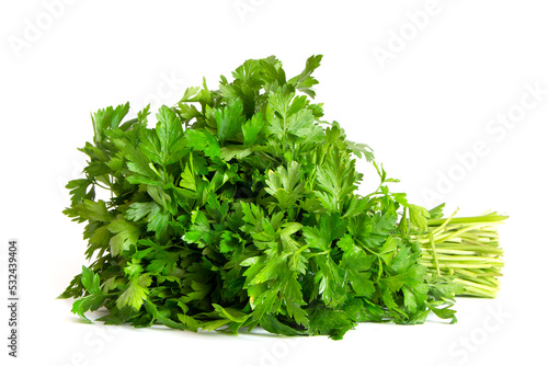 Parsley bunch isolated on a white background. Parsley herb leaves