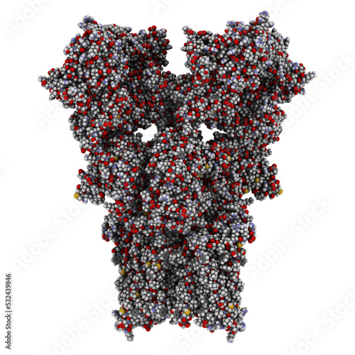 AMPA receptor (ionotropic glutamate receptor). Structure of the rat AMPAR composed of tetrameric GluA2, with auxiliary subunit GSG1L, determined by cryo-EM. 3D rendering. photo