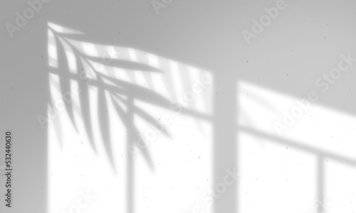 Fotografiet Leaves and window pane shadow overlay effect