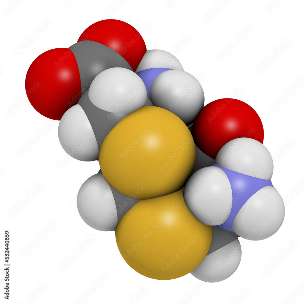 Djenkolic acid molecule. Toxic amino acid found in djenkol beans. 3D rendering. Djenkolic acid molecule. Toxic amino acid found in djenkol beans. 3D rendering.