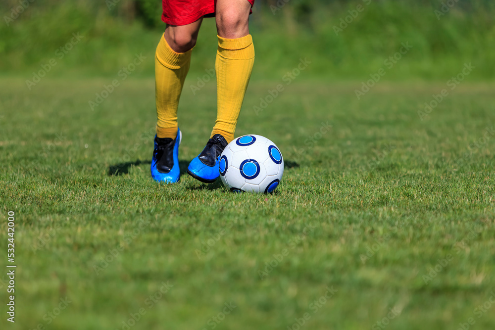 Obraz premium Dribbling