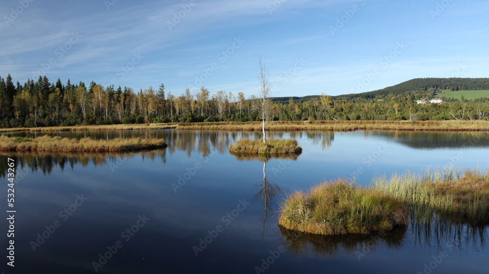 Obraz premium wetland island
