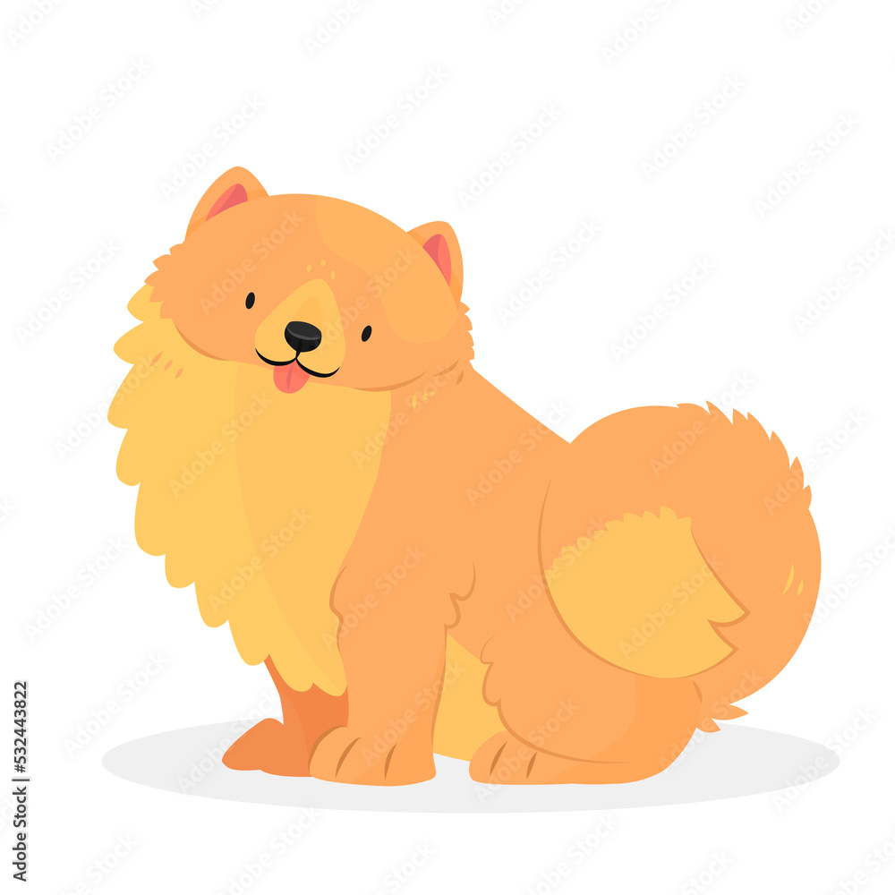 The Pomeranian breed dog sits with his tongue sticking out. The character is a dog isolated on a white background. Animal illustration. The Pomeranian breed dog sits with his tongue sticking out. The character is a dog isolated on a white background. Animal illustration.