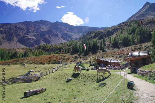 Berglalm Schnalstal