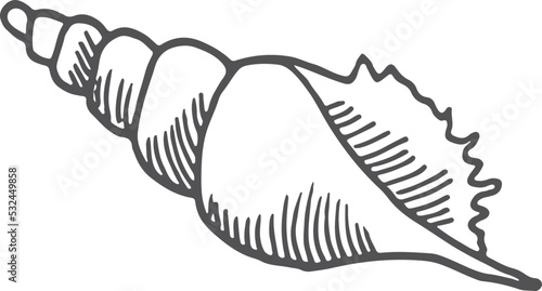 Marine shell icon. Conch sketch. Beach symbol