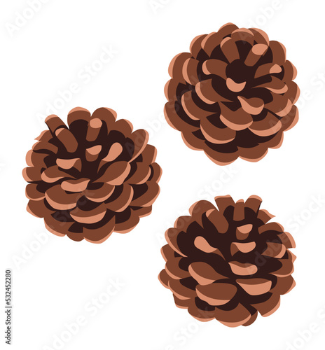 Three pine cones isolated on white background